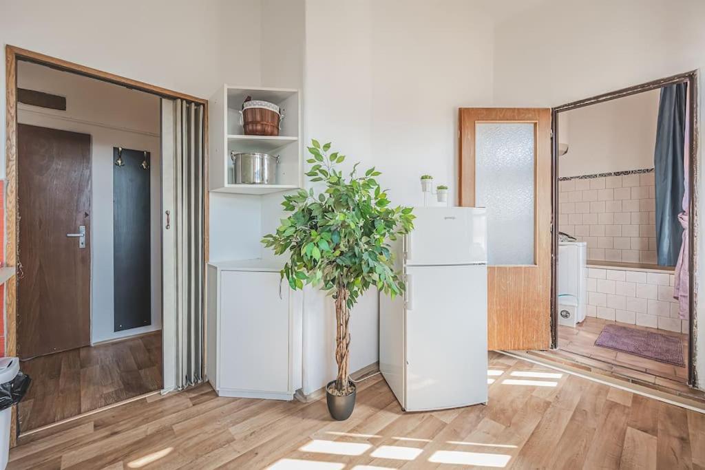 Carolina'S Romantic Apartment Hradec Králové Esterno foto